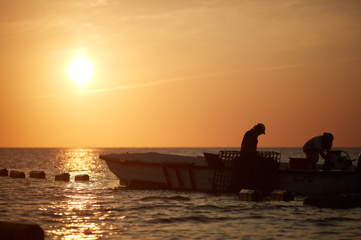 a morning catch of oysters, often used for fried oysters and oyster sauce