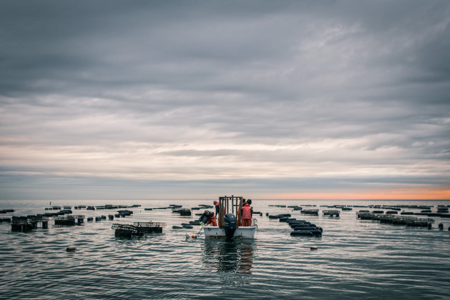 Oyster shucking may not have started in Chesapeake bay but we sure do know a lot about shucking oysters by producing over 6M oysters per year.