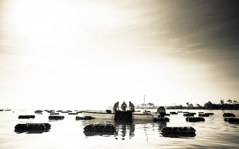 Message From Tom: Friendships & Fresh Oysters