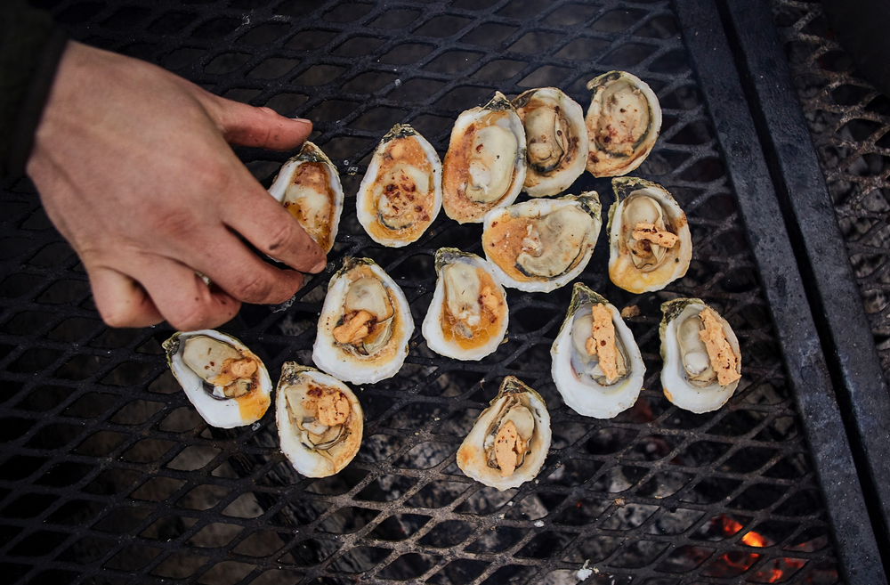 Try some nutritious and delicious grilled oyster recipes