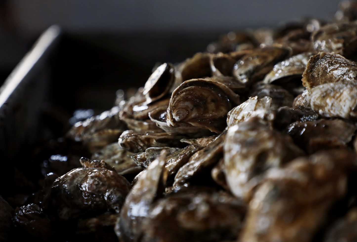 So you've learned how to shuck an oyster. Here's some creative uses for that shell you've got now.