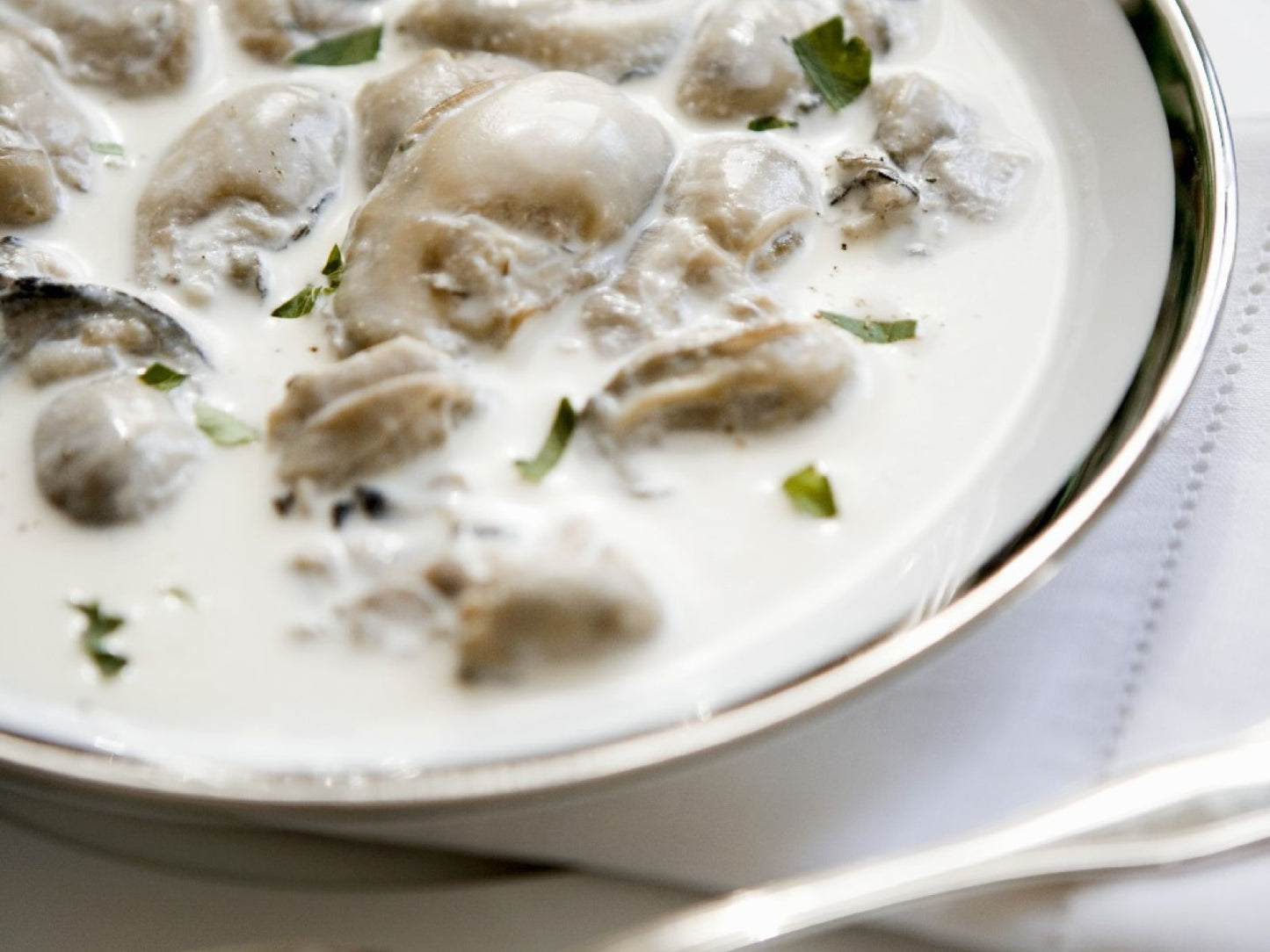 Oyster Stew