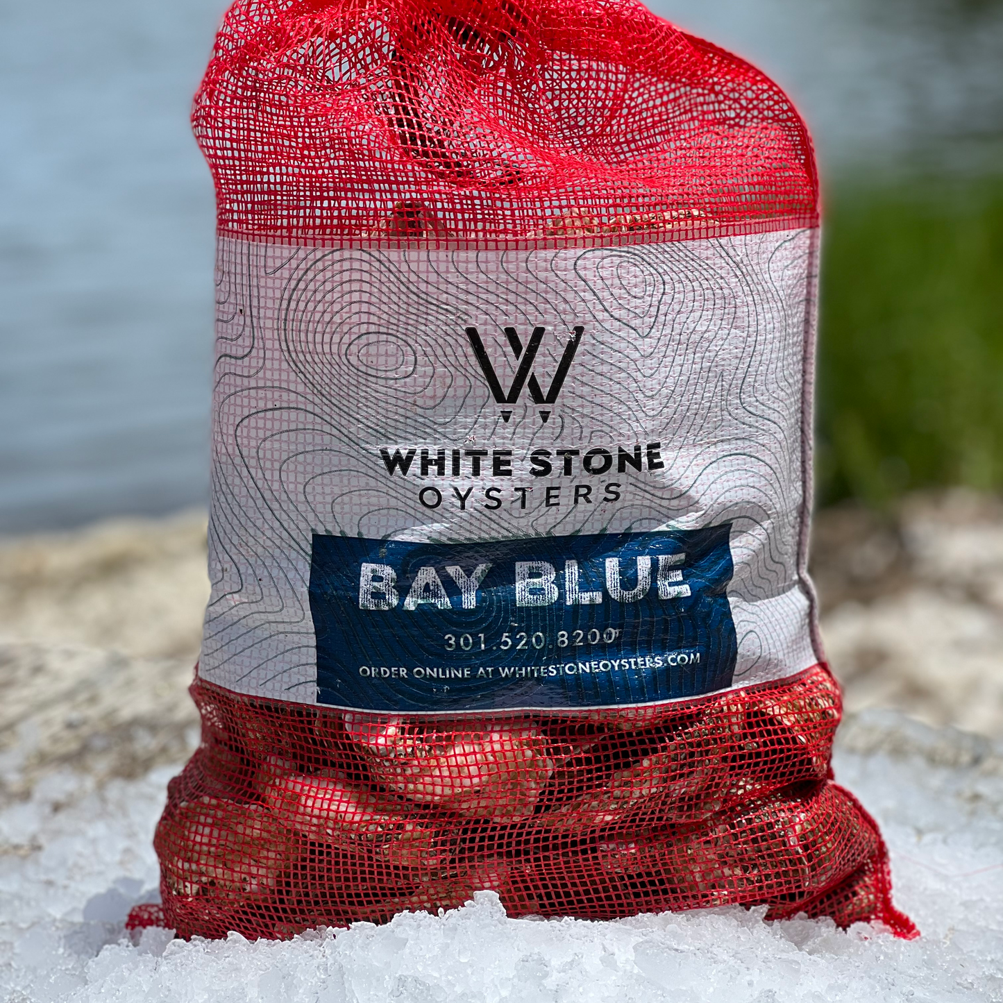 White Stone Oyster Company