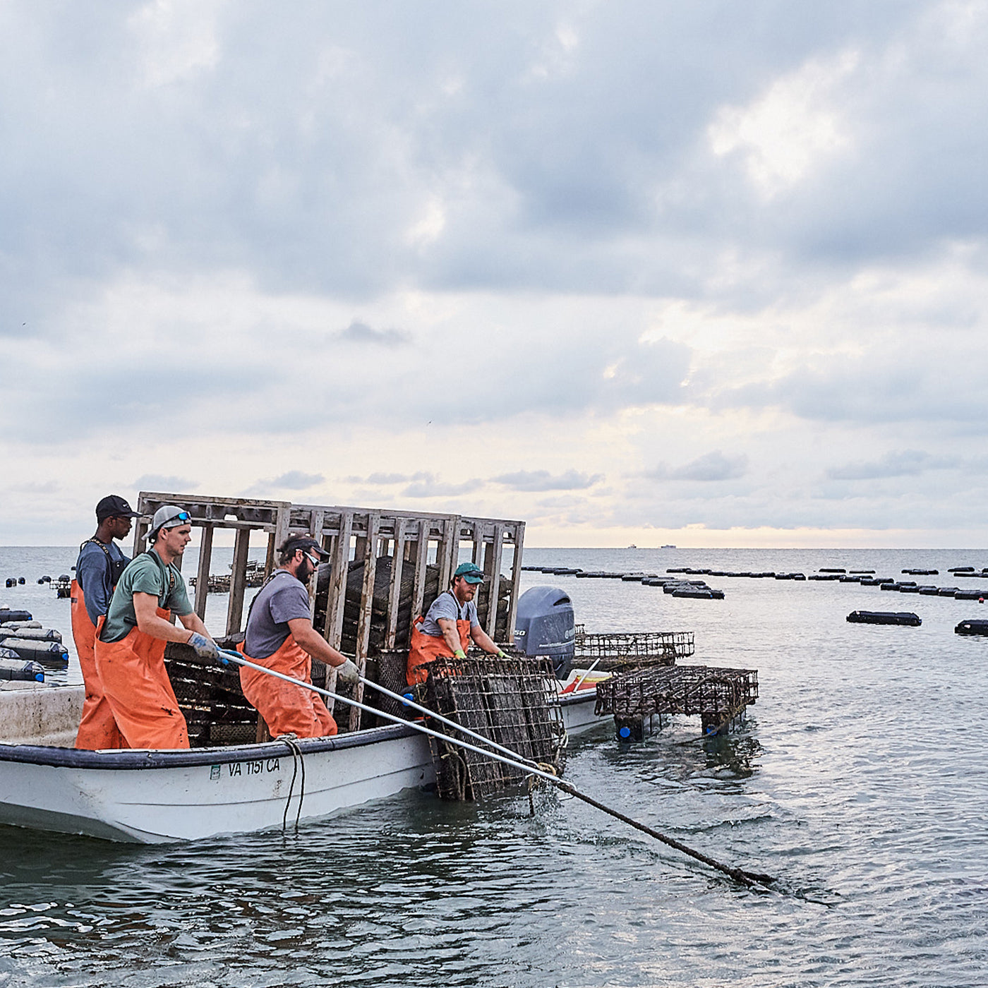 White Stone Oyster Company