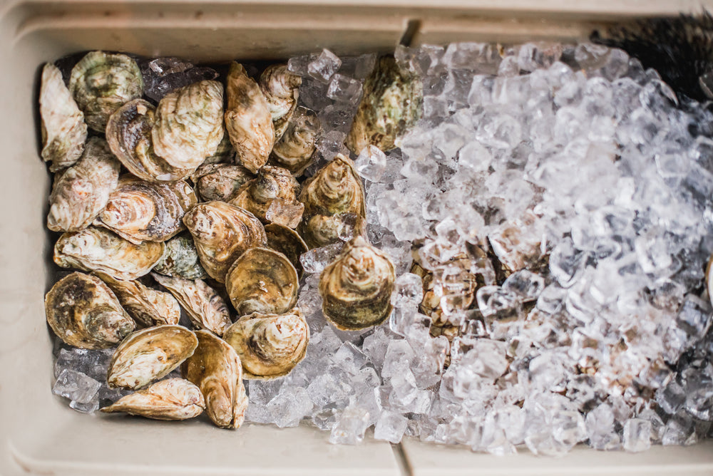 Oyster Pairing: Top Virginia Beers to Pair with Your Oysters for the Super Bowl