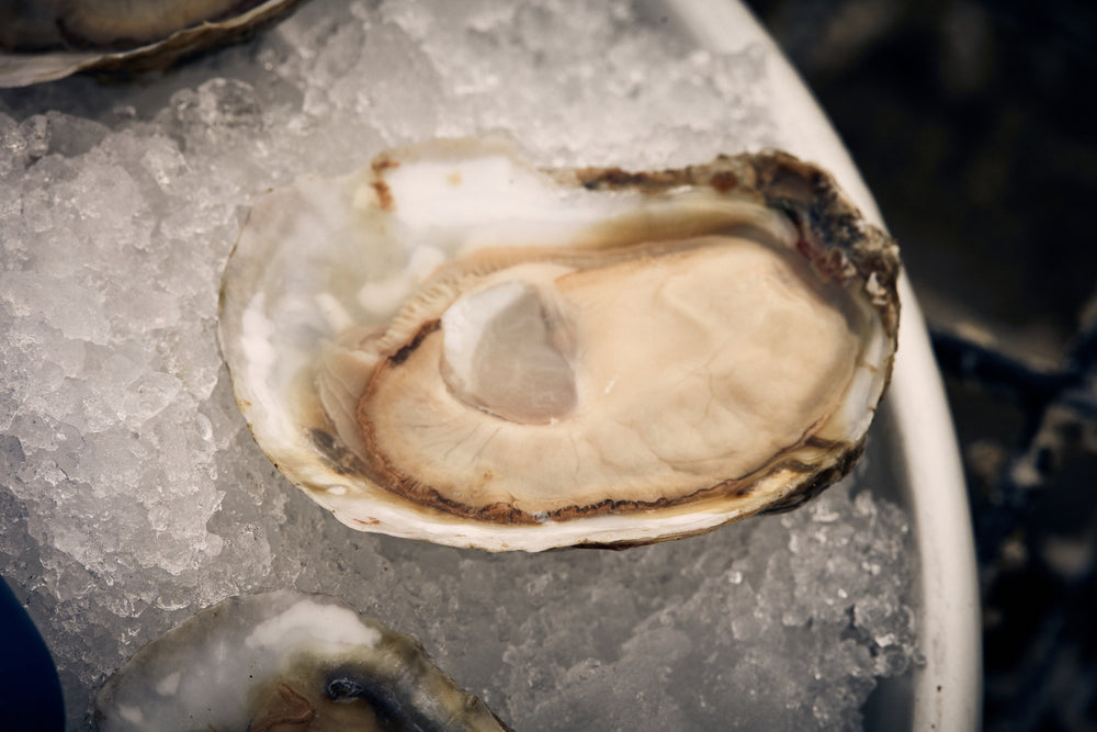The health benefits of oysters are many. Pick up a back of white stone oysters today for a good source of omega- 3s, vitamins, and more