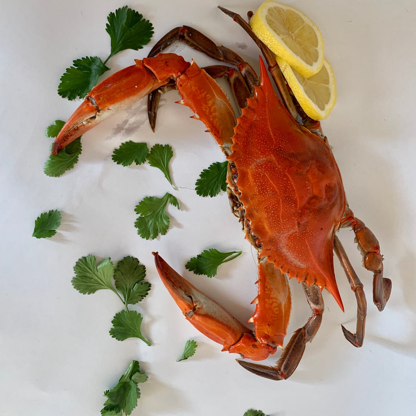 Crabbylicious: Why Eating Crab is Worth the Hassle