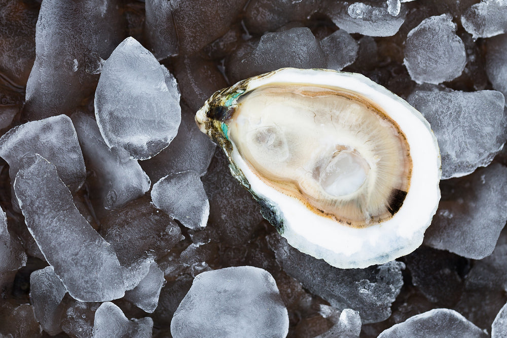 How to eat and taste an oyster