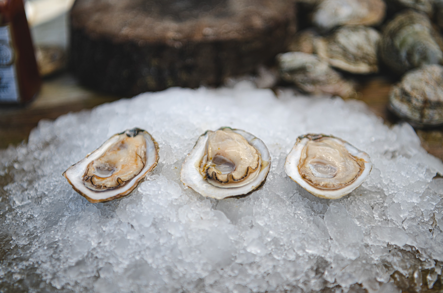 Some lesser known facts about oysters... like they're a health food. Who knew?