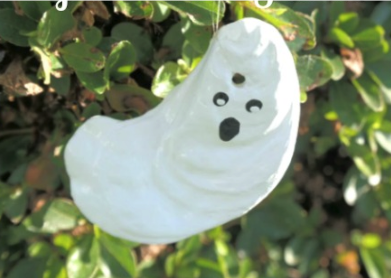 Spooky Shells