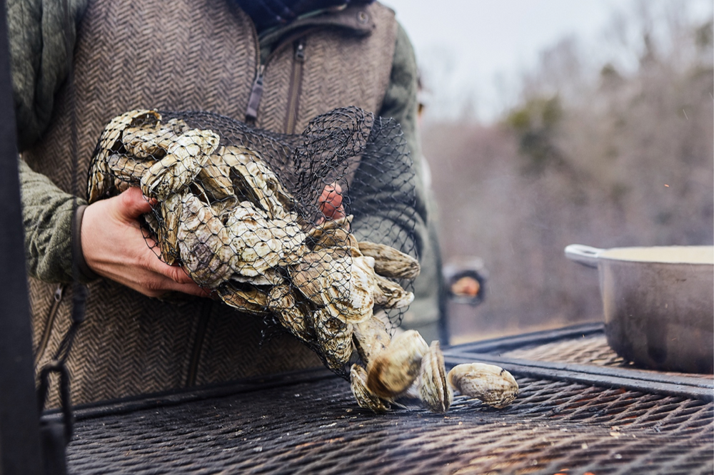 Oysters On The Grill