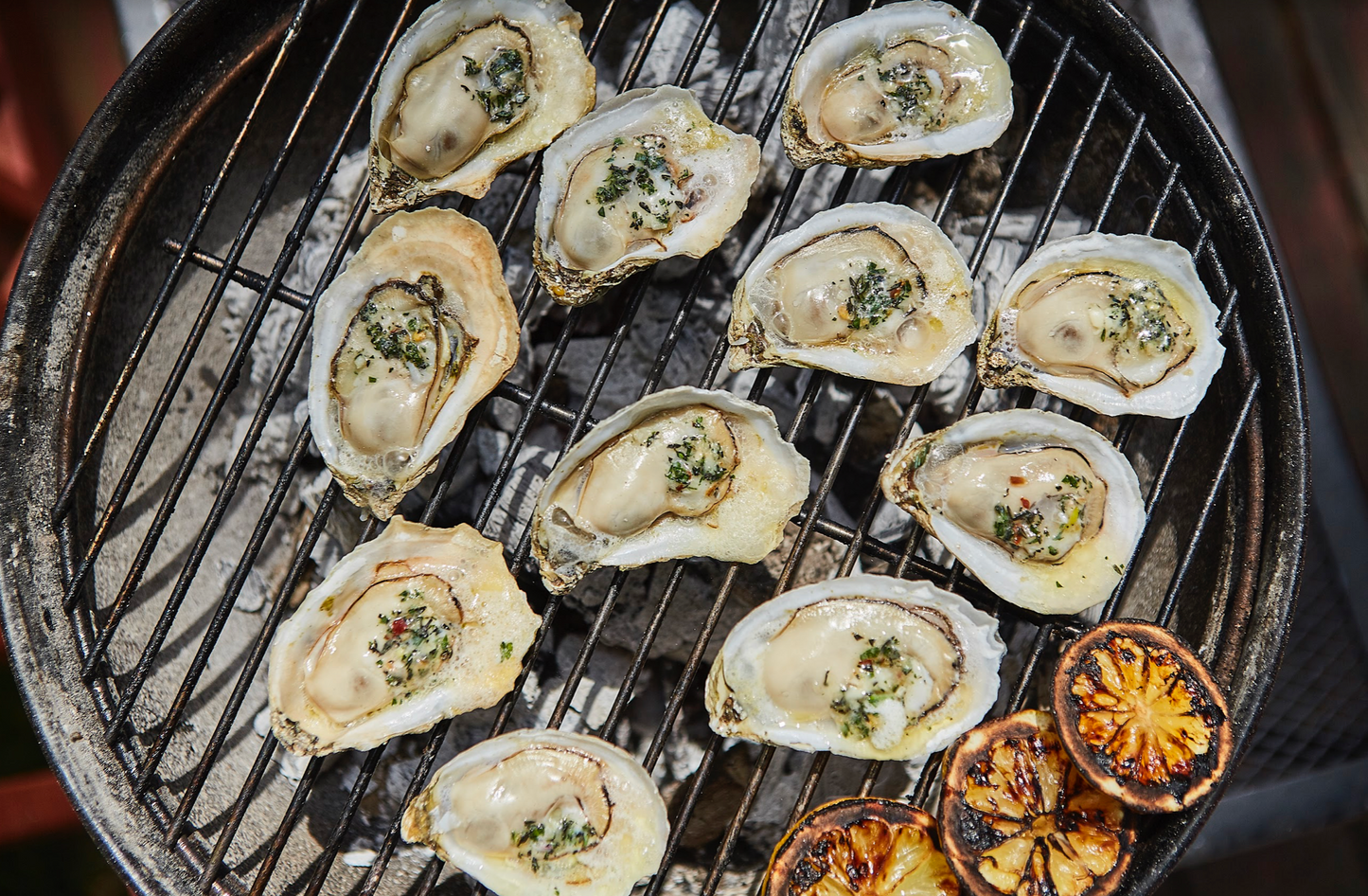 Take your oysters camping! Learn how to prep and cook grilled oysters for your next camping trip