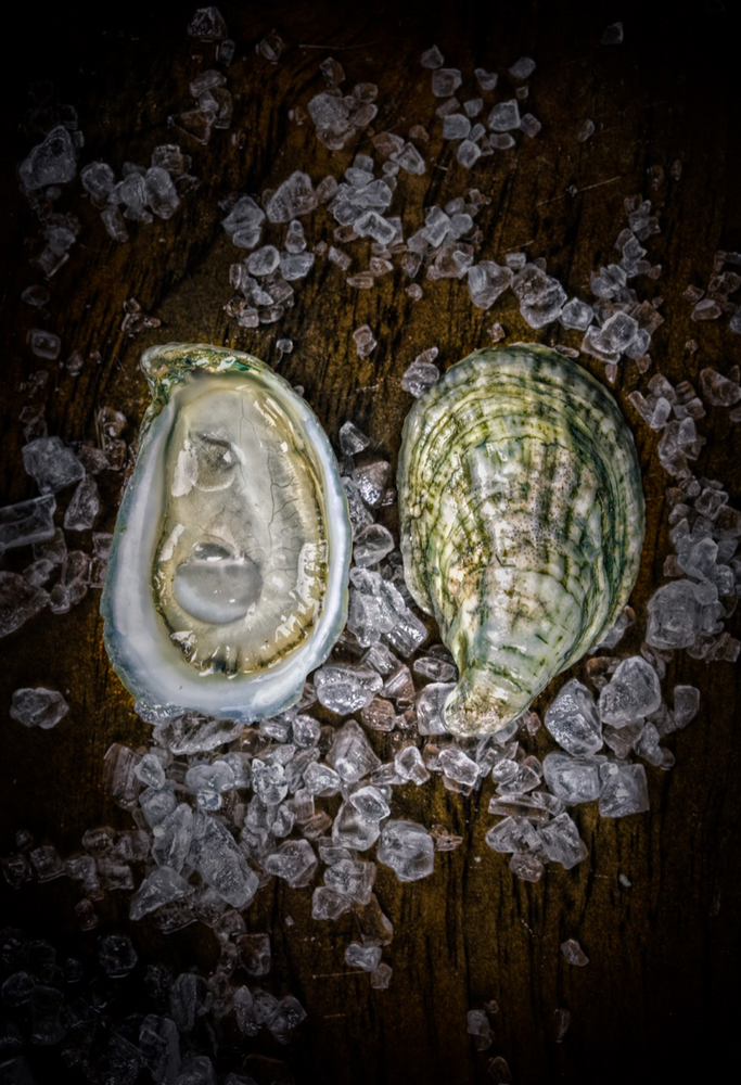 Learn about oysters, oyster culture, oyster recipes more in through the pages of these books.