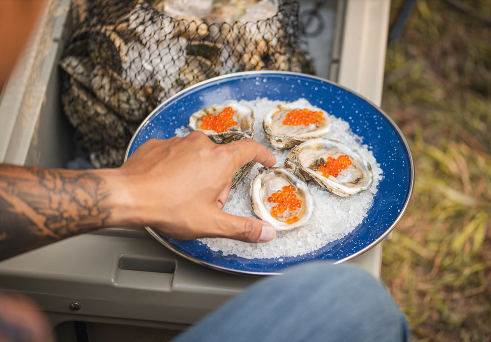 Oysters On Ice