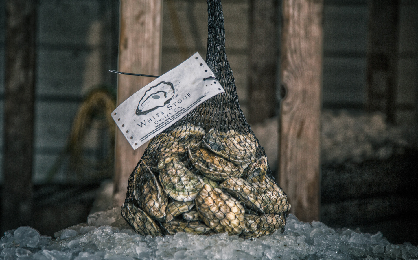 Guide To Buying Raw Oysters - What To Look For & What To Avoid