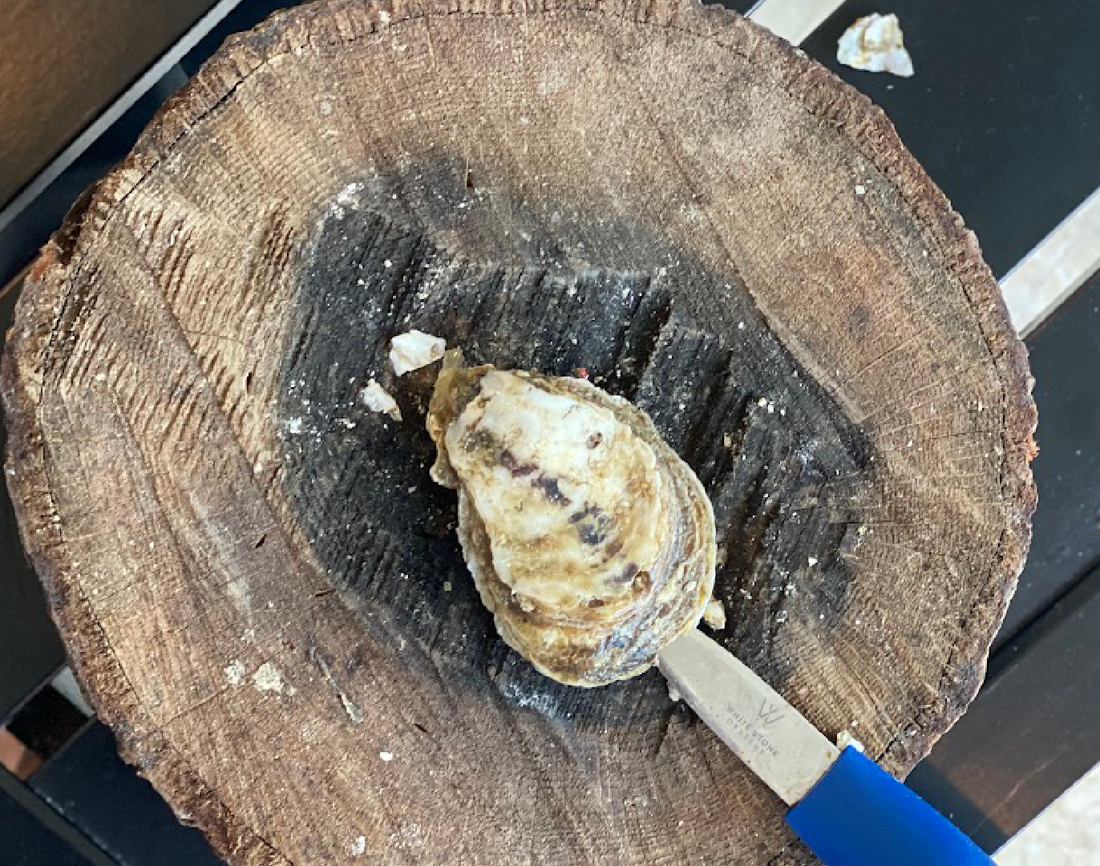 How To Tell If An Oysters Has Gone Bad?