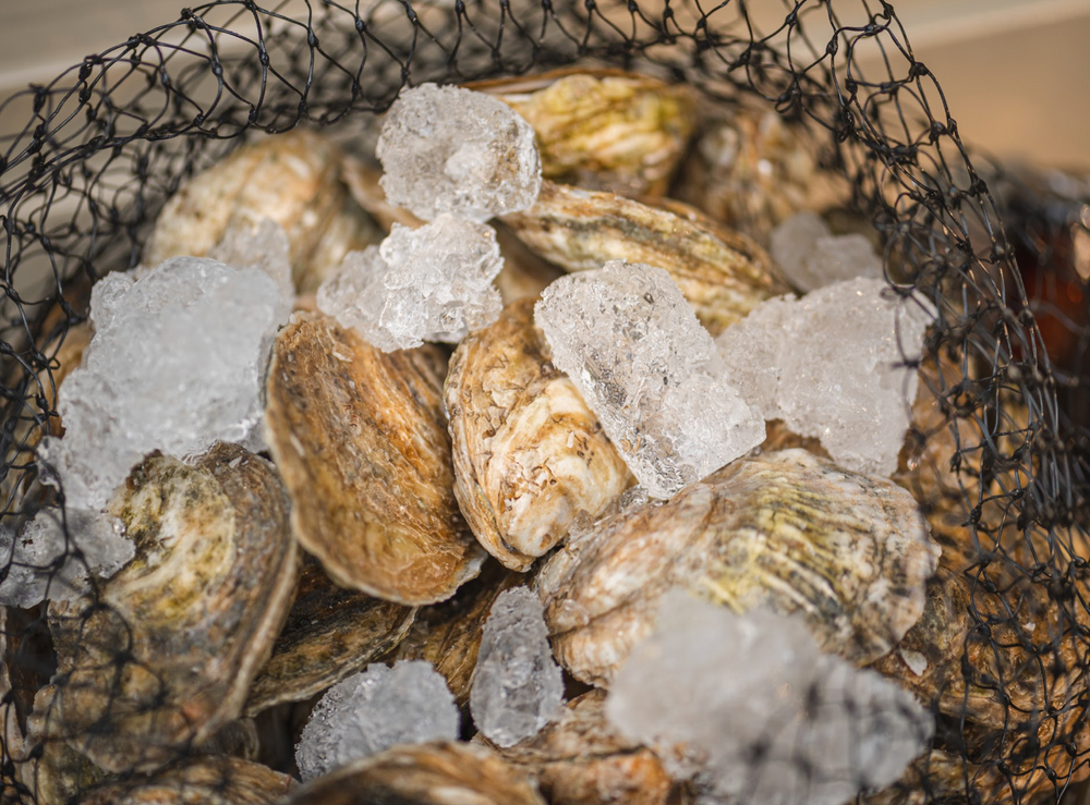 Common Oyster Storage Mistakes To Avoid
