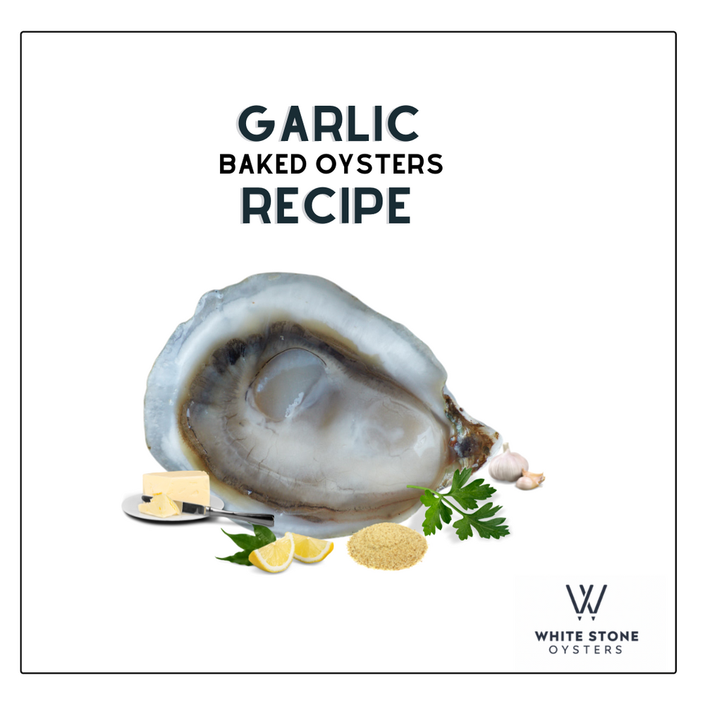 Garlic Butter Oyster Recipes 