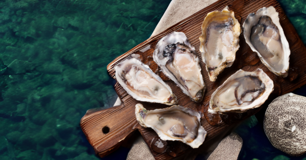 Image illustrating different oyster flavors throughout the year near the Rappahannock River.