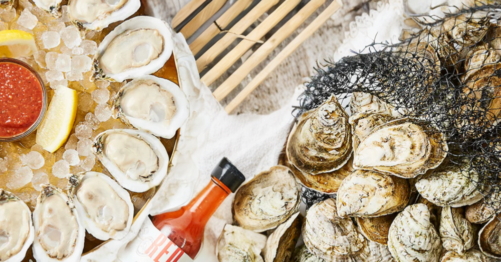 Image illustrating the distinctiveness of Bay Blue oysters sourced from farming oysters.