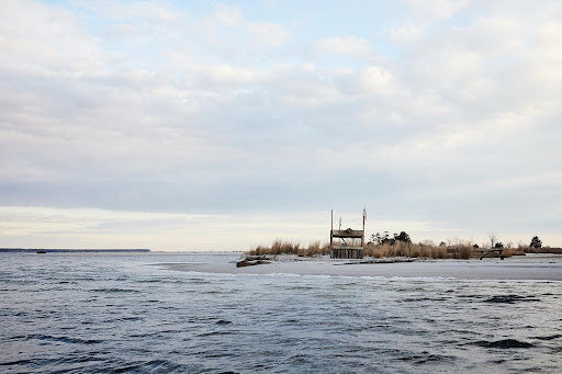 Protect our oysters in the Chesapeake Bay