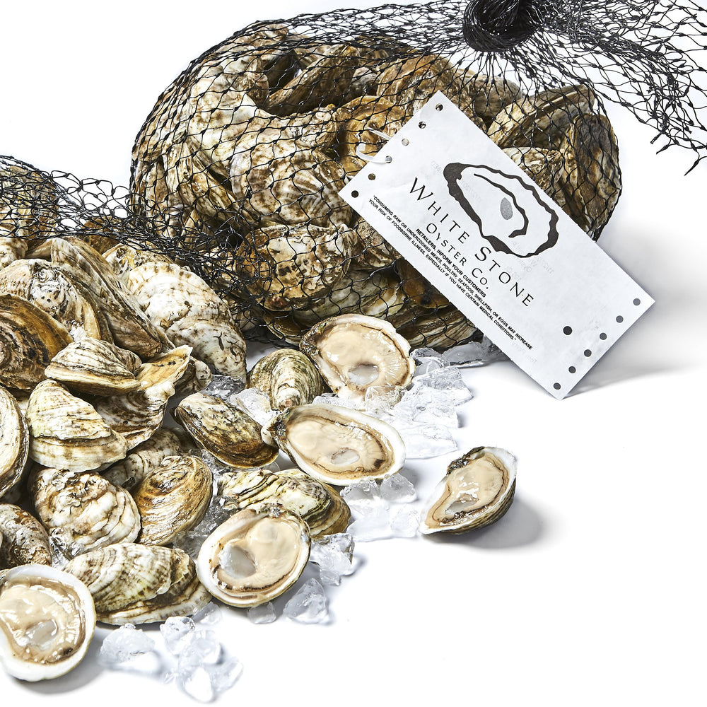 White Stone Oysters (200 ct)