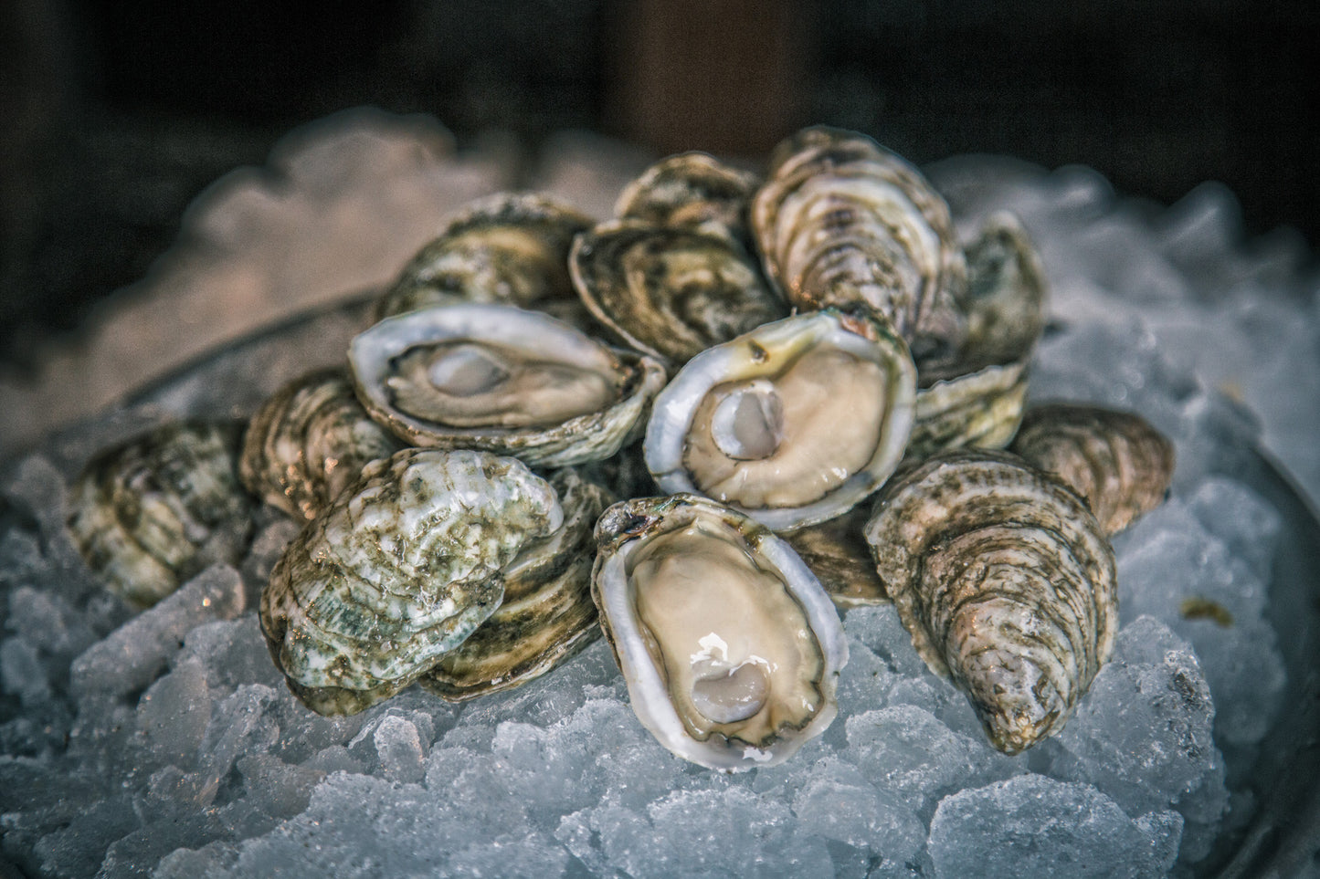 
                  
                    White Stone Oysters (50 ct)
                  
                