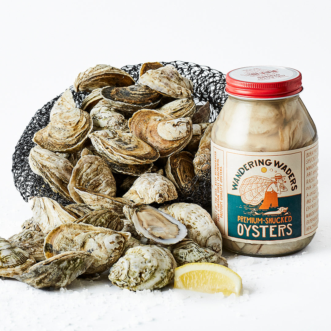 Maine Oyster Shucking Kit