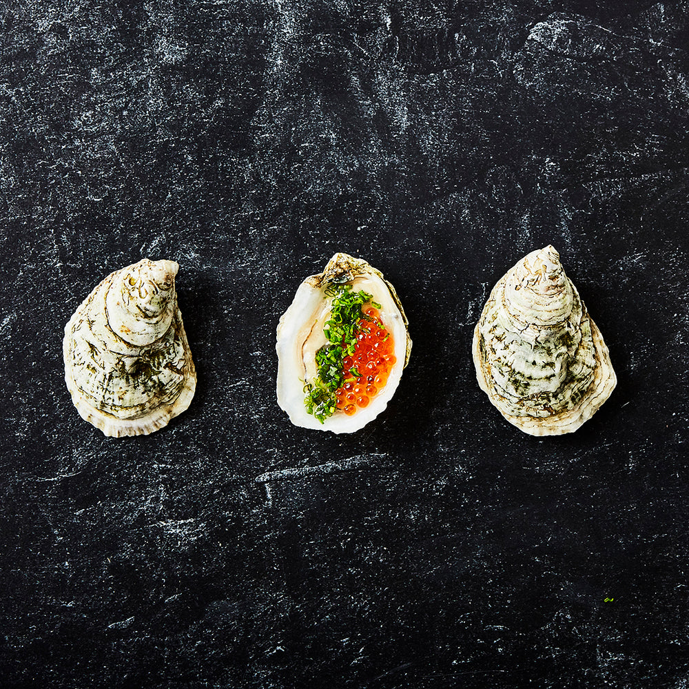 ☆新品　 W ORCESTER ROANOKE 大皿　31.8㎝ White Stone Oysters (200 ct) | Chesapeake Seafood