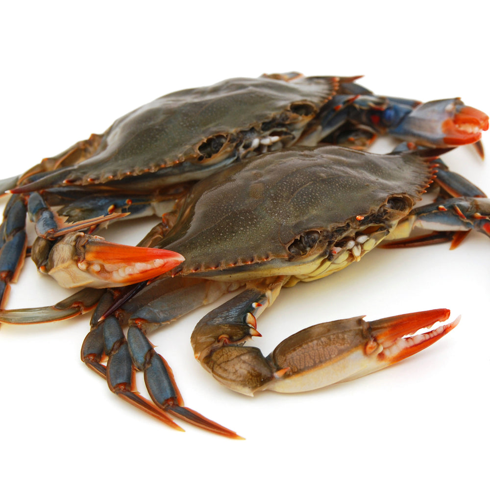 
                  
                    Softshell Crabs by the Dozen
                  
                